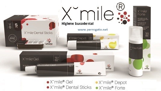 Higiene dental de perros y gatos